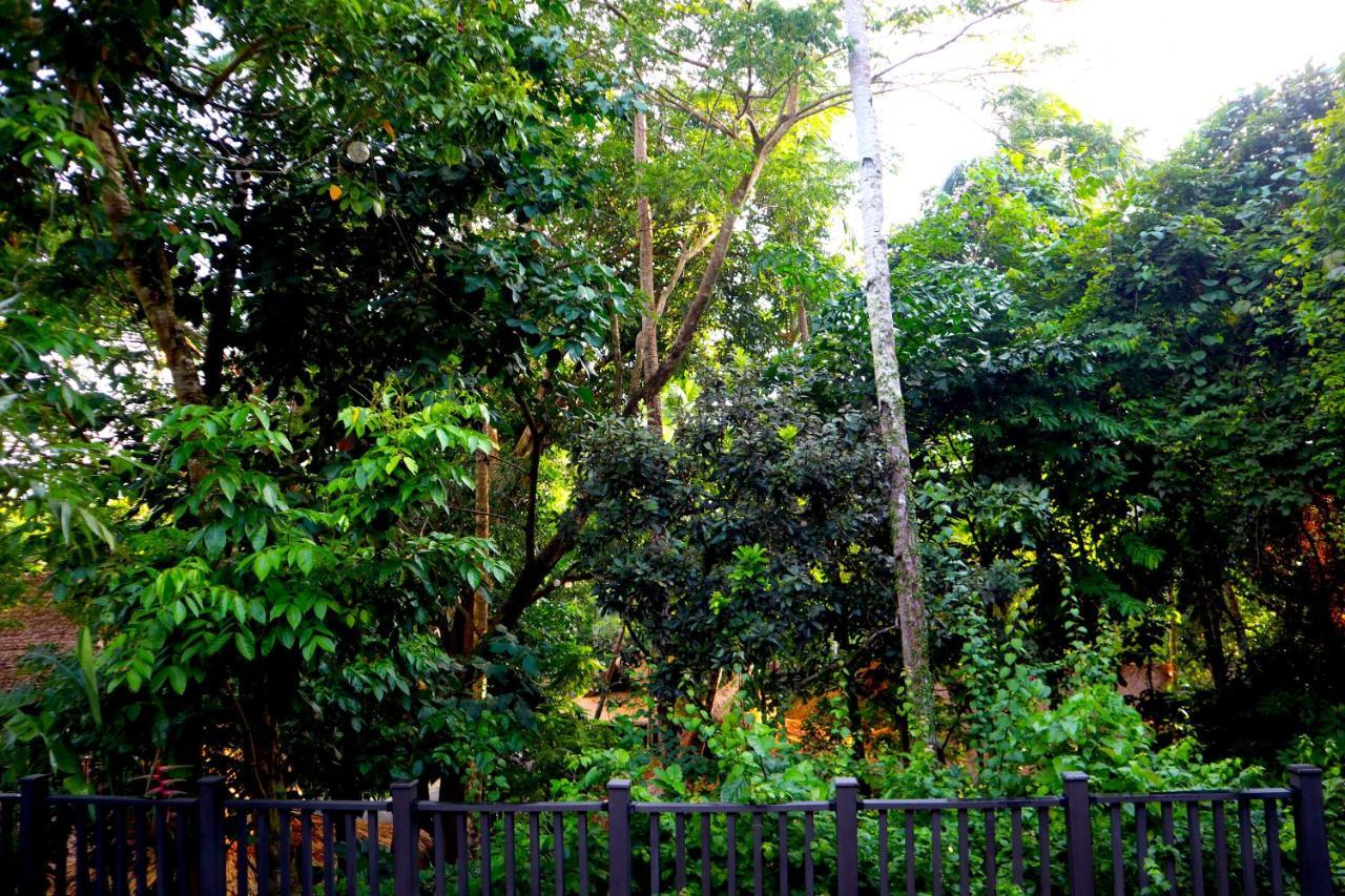 Lihim Resorts El Nido Bagian luar foto